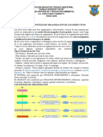 Guia Virtual 4 Tejido Animal y Vegetal Grado Sexto