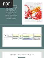 Evaluacion Del 8vo Par Craneal y Tipos de Marcha
