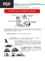 Cadena Alimentaria para Cuarto de Primaria