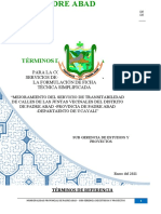 TDR 02 - Mejoramiento Del Servicio de Transitabilidad Calles Padre Abad