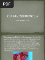 Cirugia Endodontica