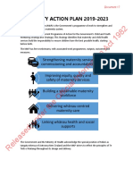 Maternity Action Plan Document