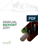 IIKP - Annual Report - 2017