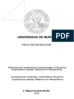 Tesis Doctoral - Miguel Hurtado Burillo