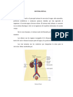 Renal 2021