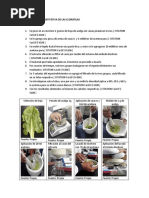 Determinación Cuantitativa de Las Clorofilas