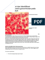 Teknik Isolasi Dan Identifikasi Bakteri Neisseria Gonorrhoeae Pada Anggota