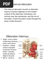 Lecct. 2 Muscle 2