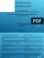 Tema Model Plan de Afacere