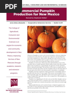 Commercial Pumpkin Production For New Mexico: College of Agricultural, Consumer and Environmental Sciences