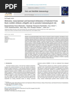 Madusanka Et Al, 2019, Galectin-8 Sebates Schlegelii