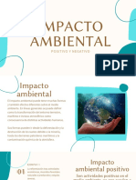 Impacto Ambiental