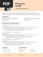 59 Curriculum Vitae Couleur