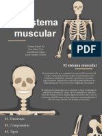 Sistema Muscular