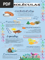 Infografía Moléculas Biológicas