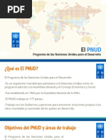 El PNUD