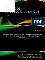 Ipv Psicologia 1