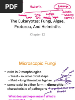 Bio 2 CH 12 Eukaryotes Fungi, Algae, Protozoa SP 21 W Notes