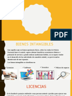 Bienes Intangibles