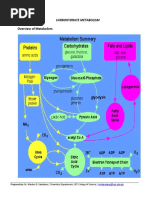 Lec Notes - Carbohydrate Metabolism (Glycolysis, Kreb Cycle, ETC)