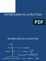 Metabolismo de La Fructosa