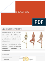 Sistema Propioceptivo Presentación PP