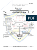 Psicologia Pre Semana 6