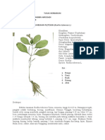 Tugas Herbarium