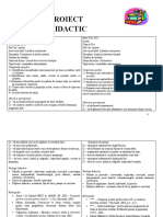 Proiect Didactic 8..02.2021