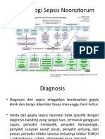 Patof Diagnosis Sepsis Neonatorum