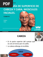 Anatomía de La Cara