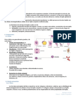 Tema 3 - Tejido Conjuntivo