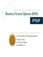 Business System Options (BSO)