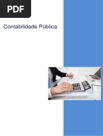 Contabilidade Pública