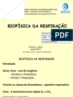 Aula Biofísica Da Respiração Marcos Viana