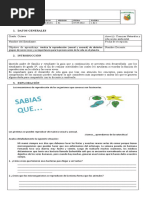 Grado 8° Guia Diagnostico