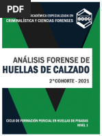 Programa Calzado 2021