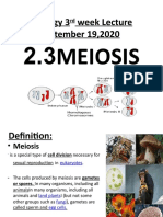 3rd Meiosis Cytology Lecture September 192020 2