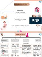 Mapa Conceptual. Laura Liliana