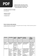 Teorias Sociologicas CJ