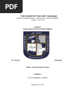 Cuadro Comparativo de Los 4 Pueblos Indigenas