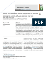 Beneficial Effects of Inoculation of Growth-Promoting Bacteria in Strawberry