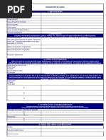 Formato Descripción de Cargo - XLSX 2