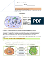 Taller de Naturales La Celula