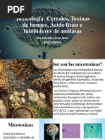 Expo de Toxicología (Micotoxinas)