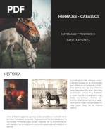 Materiales - Herrajes - Caballos