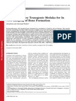 Osterix-Mcherry Transgenic Medaka For In: Vivo Imaging of Bone Formation