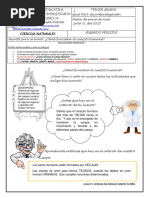 Naturales