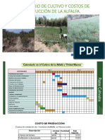 Calendario de Cultivo y Costos de Producción de