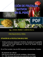 1-Clase Introduccion A Los Frutales Nativos